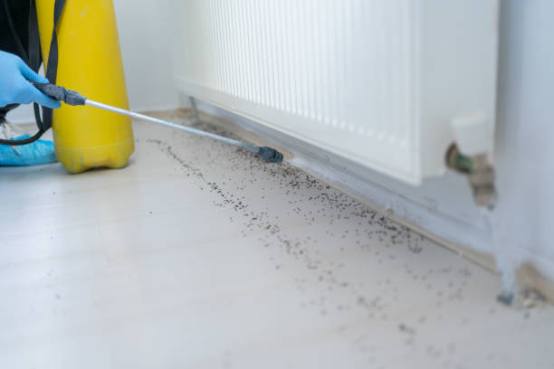 Best Exterminator Services  in Ten Mile Run, NJ